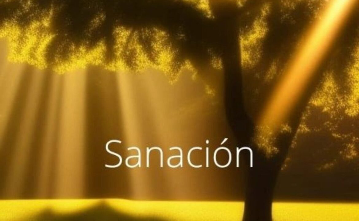 sanacion-1024×1019