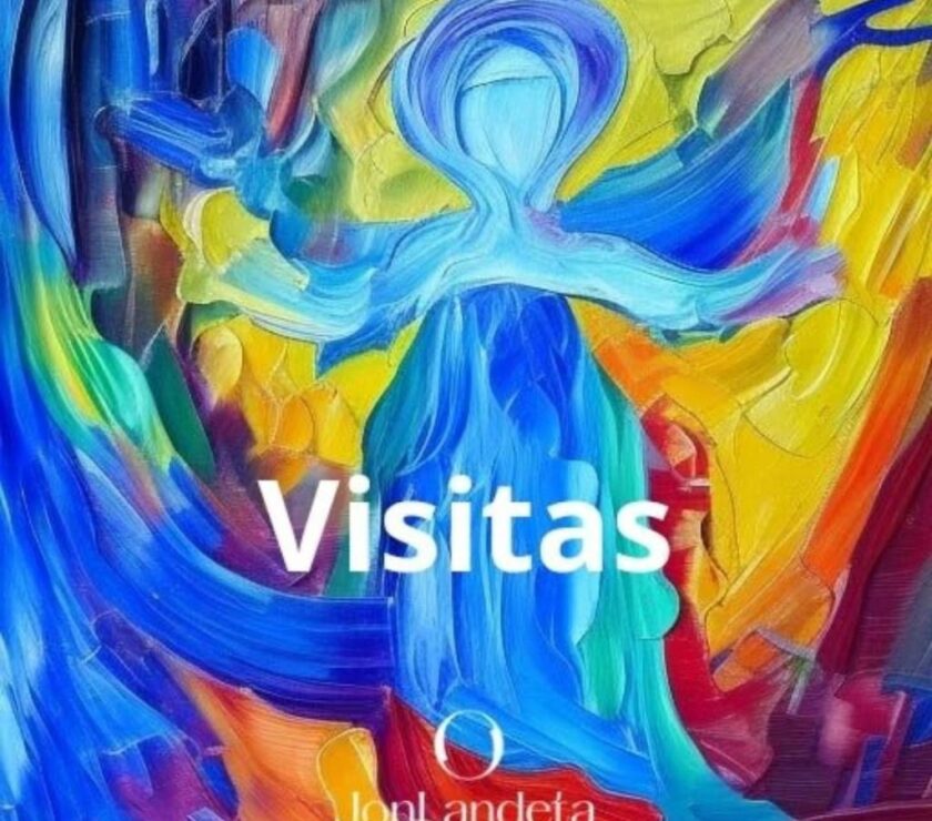 visitas-1024×1005