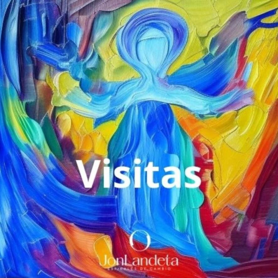 visitas-1024×1005